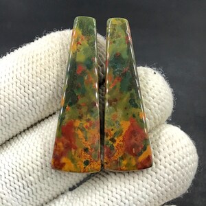 Paire de cabochons de pierres de sang... Cabochons de forme libre... 40 x 12 x 4 mm... 34 carats... A#N8191