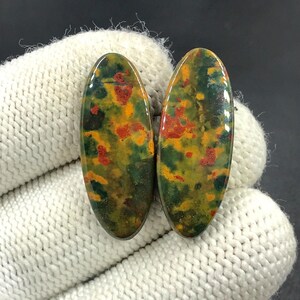 Paire de pierres de sang cabochon... Cabochon ovale... 30 x 12 x 4 mm... 28 carats... A#N8175