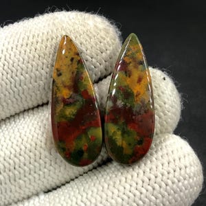 Paire de cabochons de pierre de sang... Cabochon poire... 29 x 11 x 4 mm... 20 carats... A#N8187
