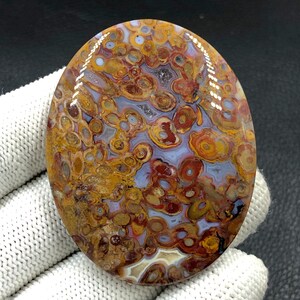 Cabujón de raíz de palma de tubo rojo... Cabujón ovalado... 59x47x6 mm... 171 Cts... A#J9086