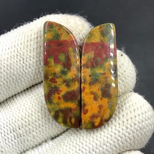Paire de pierres de sang cabochon... Cabochon forme libre... 35 x 12 x 4 mm... 34 carats... A#N8195