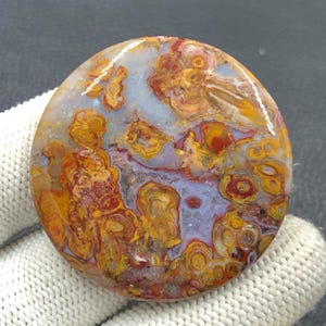 Rote Tube Cabochon Palmwurzel...Rund Cabochon...43 x 6 mm...92 Cts...A#J9115