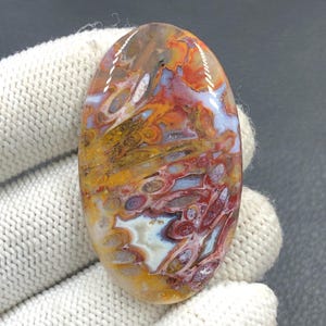 Rote Tube Cabochon Palmwurzel...Oval Cabochon...47x28x5 mm...55 Cts...A#J9090