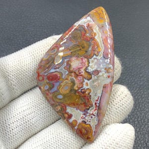 Rote Tube Cabochon Palmwurz...65x37x6 mm...94 Cts..A#J9107