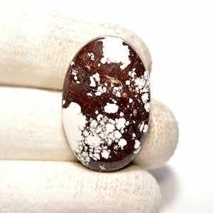 Wildpferd Türkis Cabochon... Ovaler Cabochon... 30x20x5mm... 30Cts... #i335