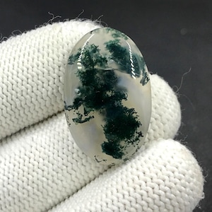 Cabochon en agate mousse... Cabochon ovale...29x19x5 mm...23 carats...A#N9049