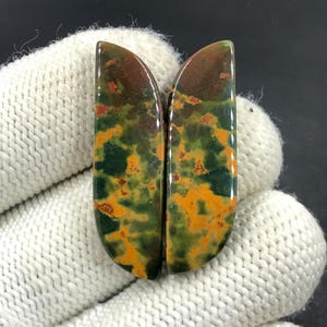 Paire de pierres de sang cabochon... Cabochon forme libre... 35 x 11 x 4 mm... 30 carats... A#N8197