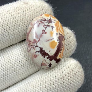 Cabochon Sonora en rhyolite dendritique... Cabochon ovale... 25 x 18 x 5 mm... 20 carats... A#N3935