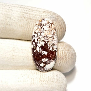 Wildpferd Türkis Cabochon... Ovaler Cabochon... 28x13x4mm... 14Cts... #i336