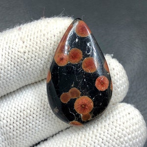 Peanut Obsidian Cabochon...Pear Cabochon...33x21x6 mm...30 Cts...A#M7986