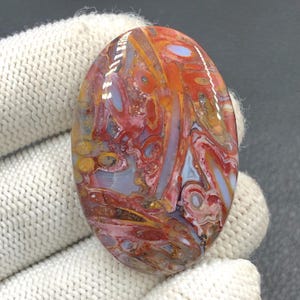 Rode tube cabochon met palmwortel... ovale cabochon... 43 x 29 x 6 mm... 62 kt... A#J9094