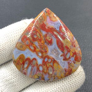 Rote Tube Cabochon Palmwurz...43x40x6 mm...84 Cts...A#J9101