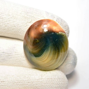 Operculum Muschel Cabochon... Ovaler Cabochon... 28x24x8mm... 36Cts... #H8587