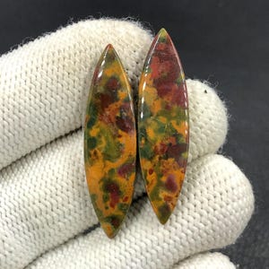 Paire de cabochons de pierre de sang... Cabochon marquise... 38 x 10 x 4 mm... 26 carats... A#N8189