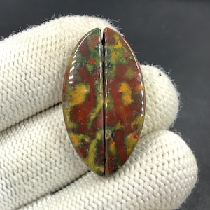 Paire de pierres de sang cabochon... Cabochon forme libre... 34 x 10 x 5 mm... 25 carats... A#N8193