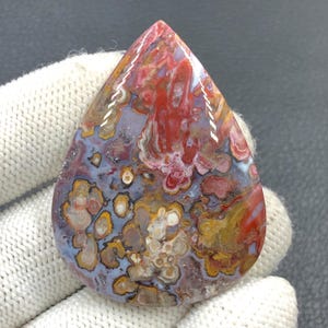 Rote Tube Cabochon Palmwurz...50x38x7 mm...93 Cts...A#J9100