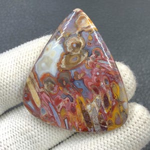 Rote Tube Cabochon Palmwurz...42x38x6 mm...68 Cts... A#J9110