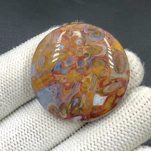 Rote Tube Cabochon Palmwurzel...34 x 8 mm...76 Cts...A#J9117
