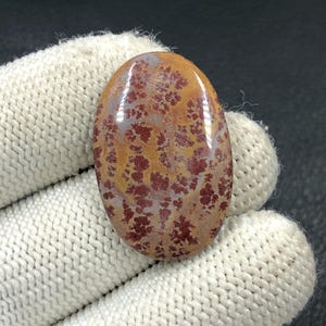 Cabochon Sonora en rhyolite dendritique... Cabochon ovale... 29 x 20 x 4 mm... 20 carats... A#N3933