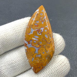 Rote Tube Cabochon Palmwurzel...51x23x6 mm...54 Cts...A#J9111