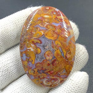 Rode tube cabochon met palmwortel... ovale cabochon... 52 x 36 x 7 mm... 103 kts... A#J9089