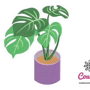 Pode incluir: Uma planta monstera verde em um vaso roxo com interior marrom. A planta tem folhas grandes e divididas.