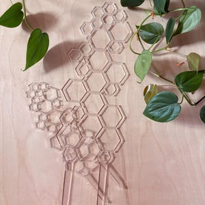 Hexagon House Plant Trellis: Acrylic set of 2