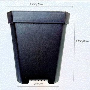 Puede incluir: Maceta de plástico negra con la parte superior cuadrada y la inferior redondeada. La maceta mide 7 cm de ancho, 8 cm de alto y 5 cm de ancho en la parte inferior.