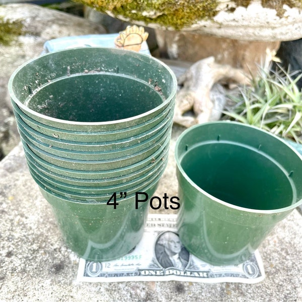 4" Used Plastic Green Pots, Professional Nursery Pots, Propagating containers