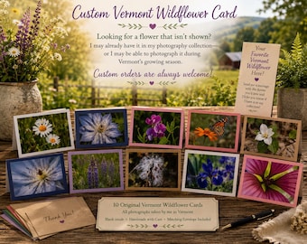 Vermont Wildflower Photography Greeting Cards | Handmade Blank Note Cards | Original Nature Photography | Set of 10 | Matching Envelopes