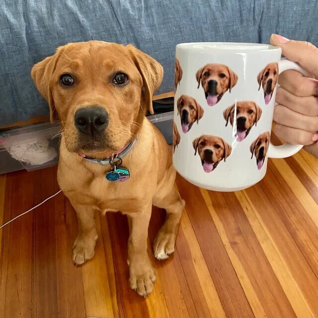 Dog face top on mug