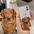 Custom Pet Phone Case, iPhone 16 Pro Phone Case, Dog iPhone Case, Phone Case From Pet Photo, Pet Phone Case For Samsung Galaxy S24,S23 Ultra