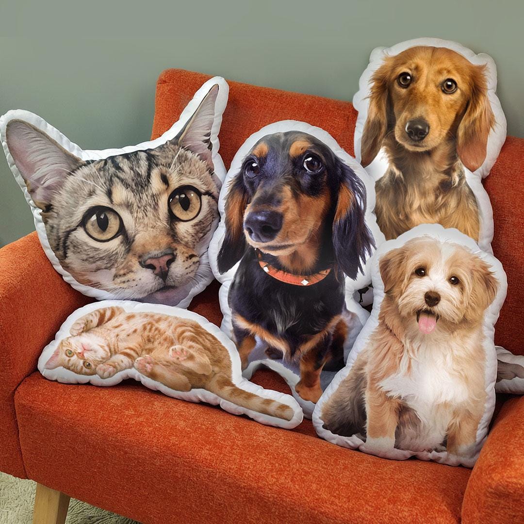 Etsy pet pillow deals