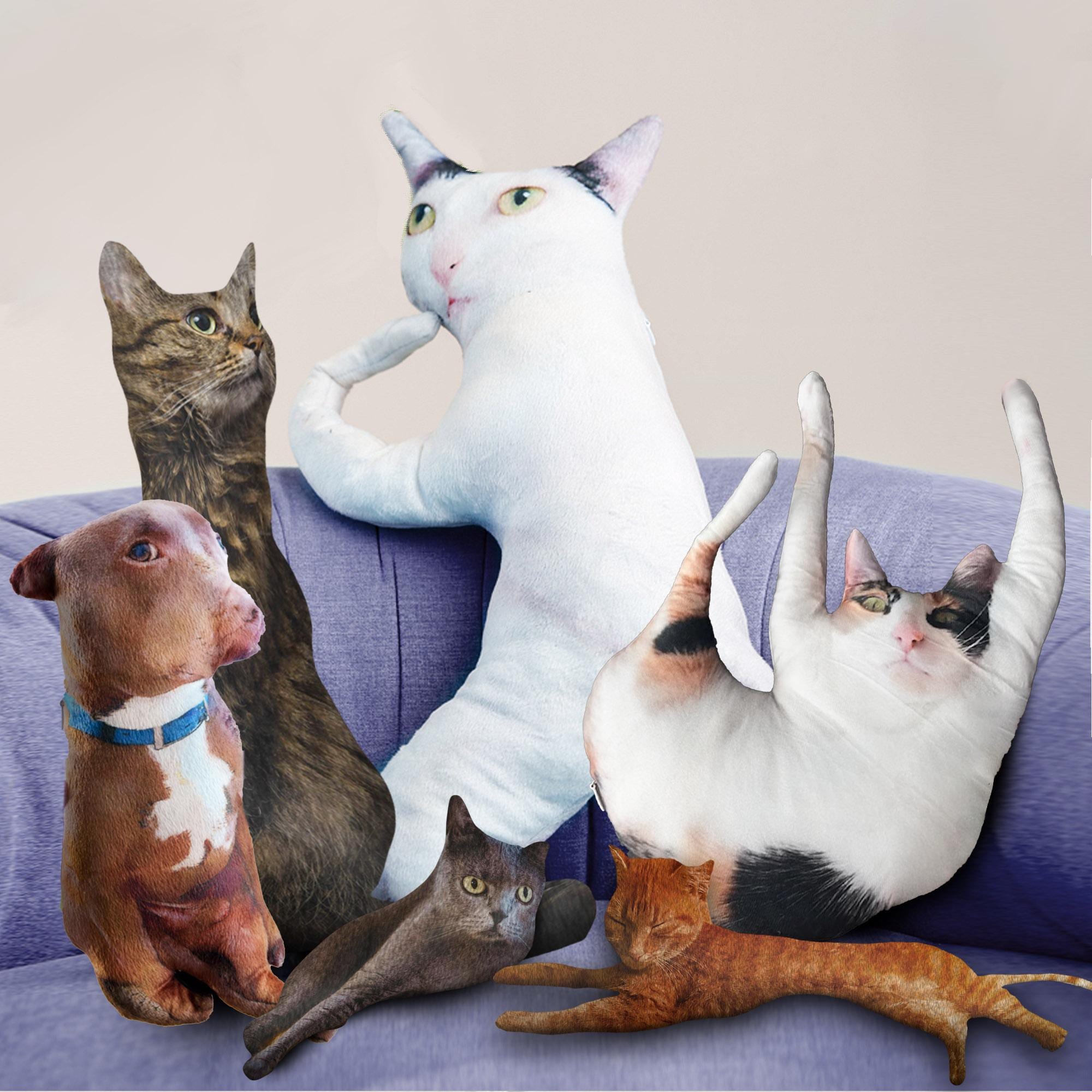 Gibberish cat stuffed animal hotsell