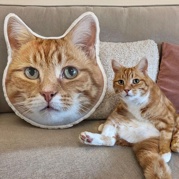Custom cat shaped pillow etsy