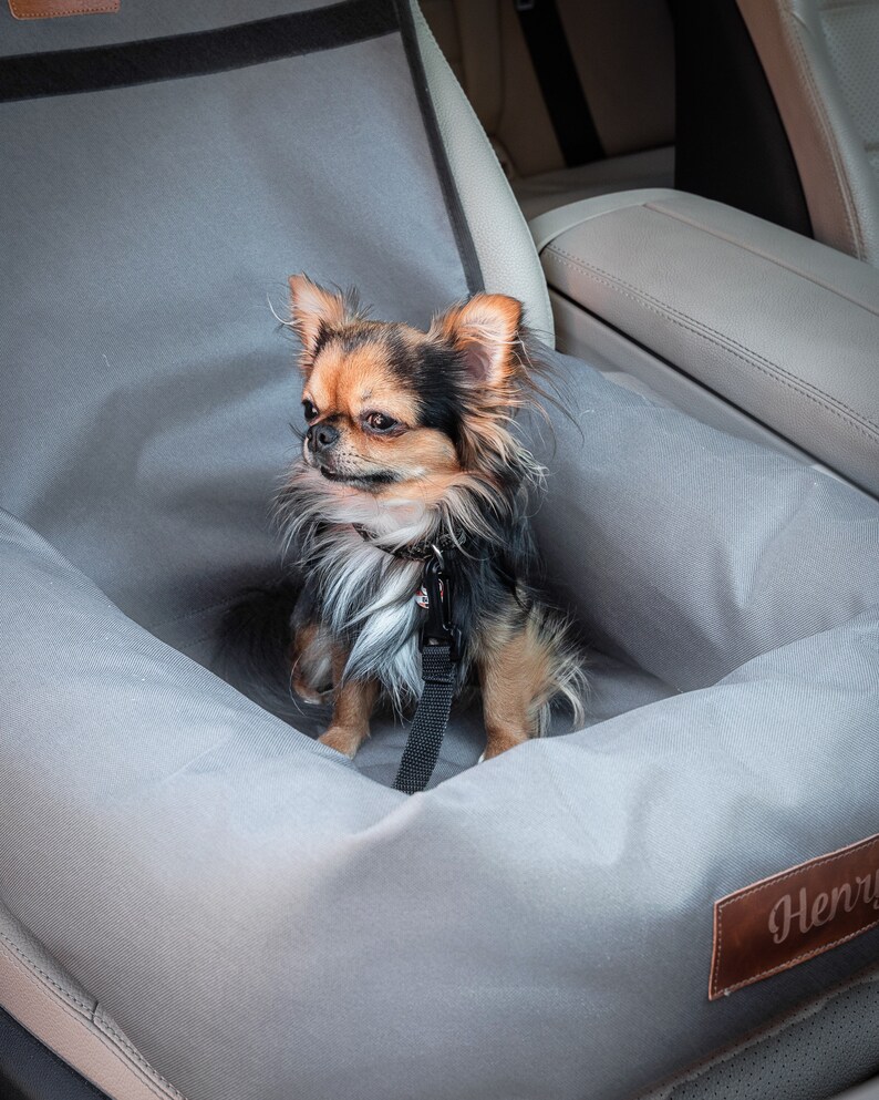 DOG Car SEAT Dog Carrier Waterproof Bed Pet Car Seat Dog Bed Etsy