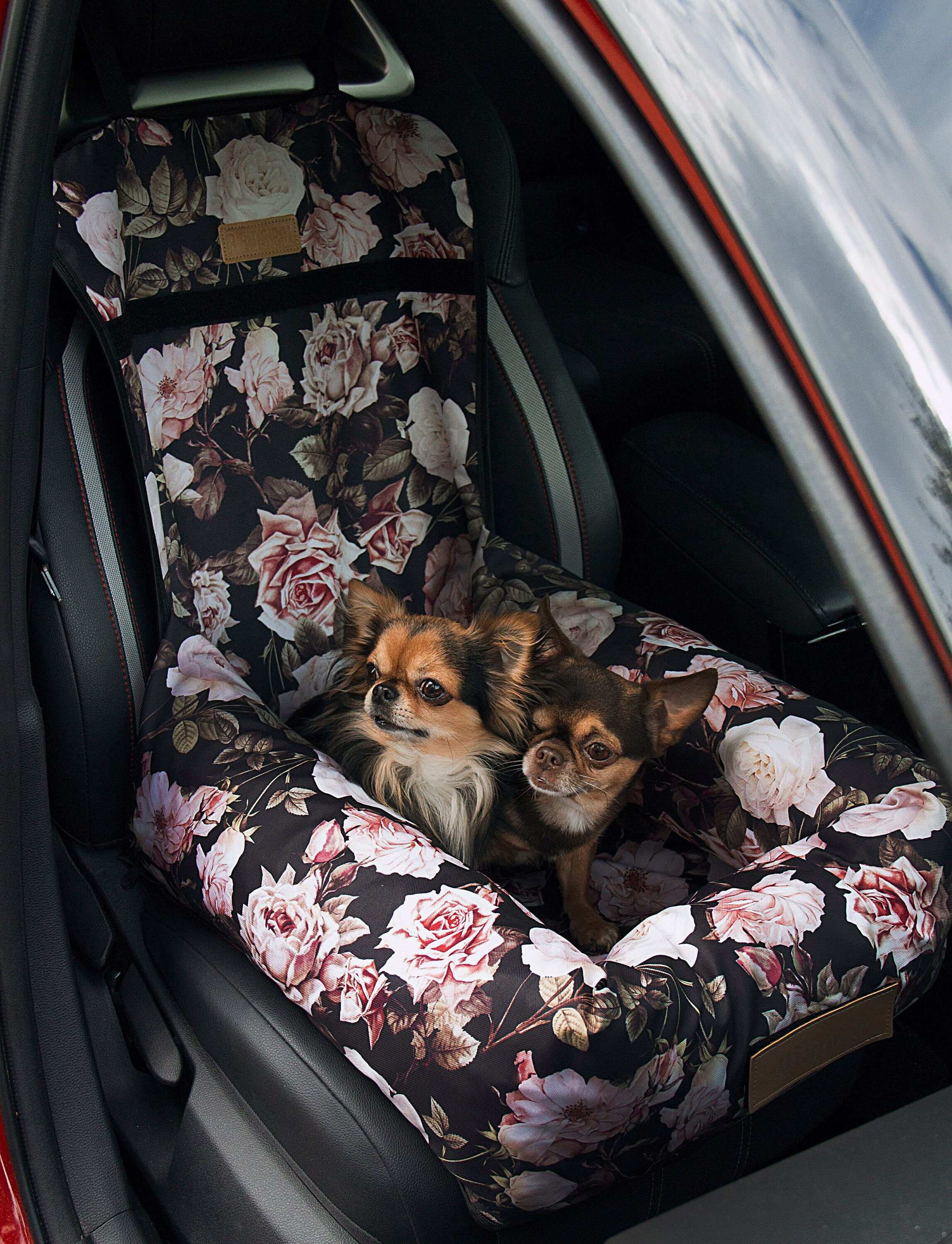 Siège de voiture rehausseur pour chien, lit pour animal de compagnie,  accoudoir de voiture, console centrale
