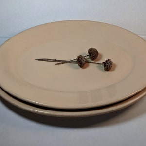 Homer Laughlin Tan Platters Pair, 1960s Restaurant Ware Oval Nesting Dishes 11.75 & 12.50 In Long, Country Farmhouse Kitchen, Cottage Decor