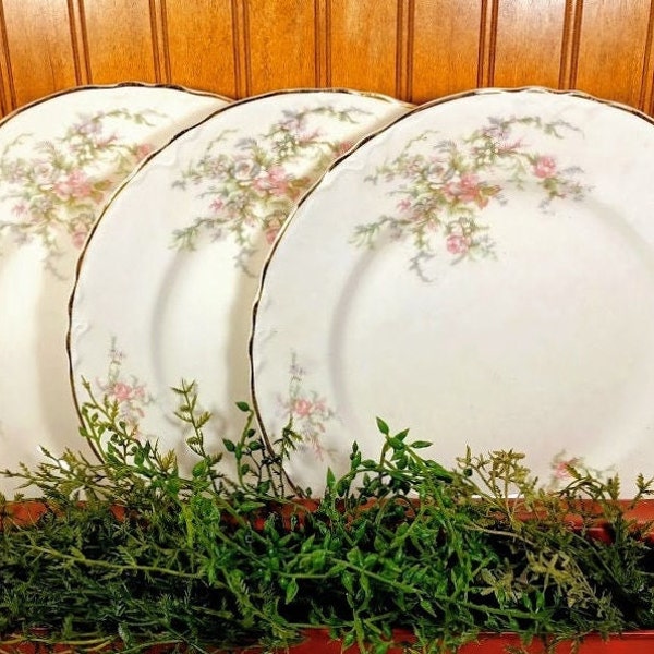 Pink Floral Plates Etsy