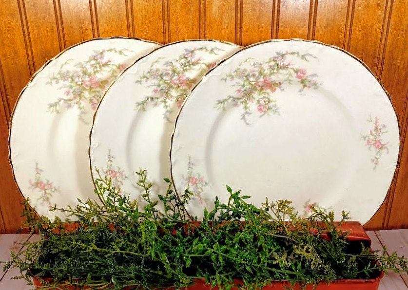 Vintage Floral Dinner Plates Set of 3 w Delicate Greenery Pink Flowers Taylor Smith Taylor 40s Tea Party Cottage Chic
