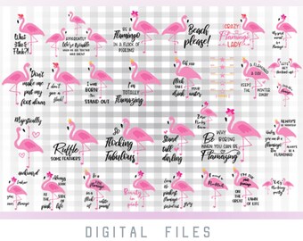 Download Flamingo Quotes Svg Etsy