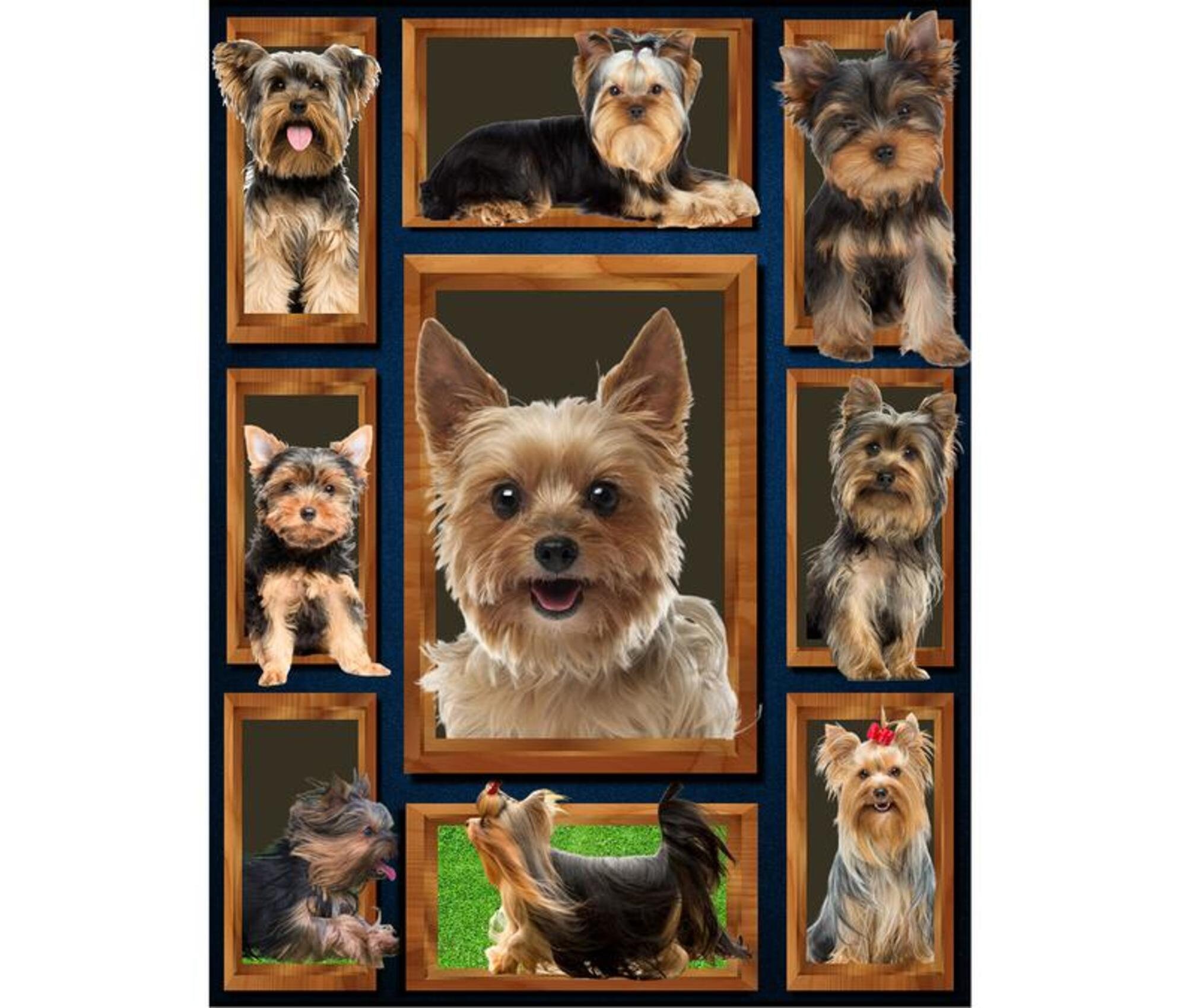 Yorkshire Terrier fleece blanket Yorkie dog fleece blanket Etsy
