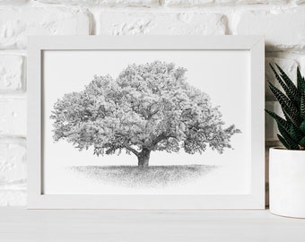 May include: A black and white line drawing of a large tree with a thick trunk and many branches. The tree is framed in a white frame and is displayed on a white brick wall.