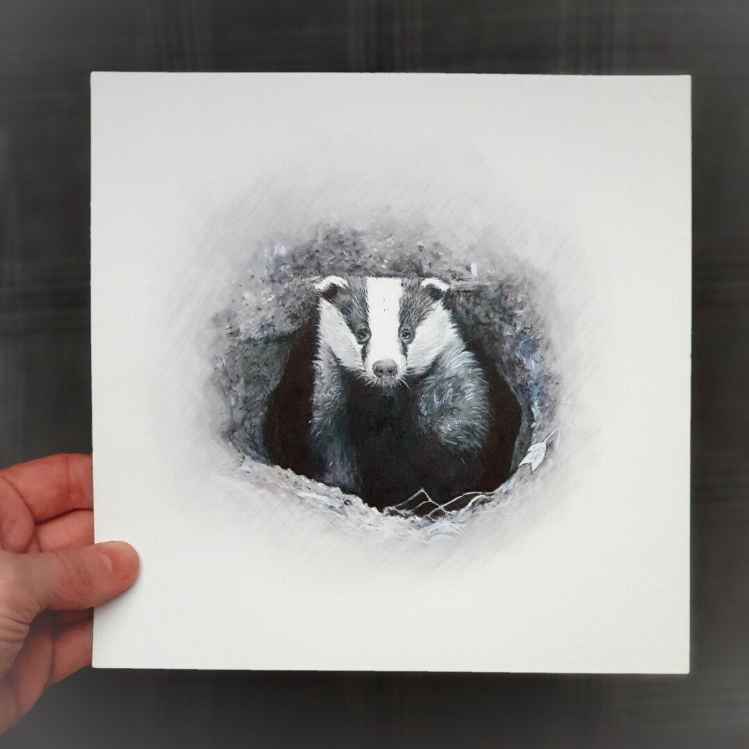 Badger and His Den - Pen and Ink Drawing - Uk Wildlife - Original ...