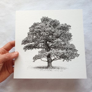 May include: A black and white pen and ink drawing of a large tree with many branches and leaves. The tree is drawn in a realistic style and is set against a white background.