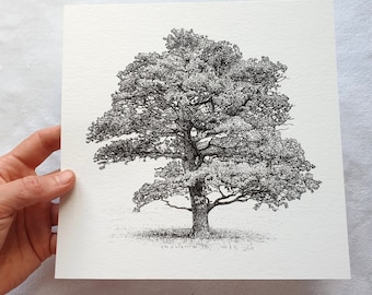 Lone Oak - original giclée print - oak tree pen and ink drawing - nature art