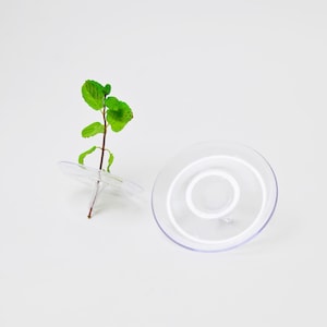 May include: Two clear plastic plant supports with a green plant. One support holds the plant upright, while the other lies flat. The supports have a spiral design and are on a white background.