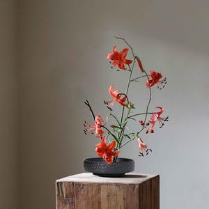 May include: A floral arrangement featuring vibrant orange lilies in a textured black bowl. The flowers are arranged on a wooden surface, creating a striking contrast against the neutral background. The arrangement is a study in minimalist elegance.