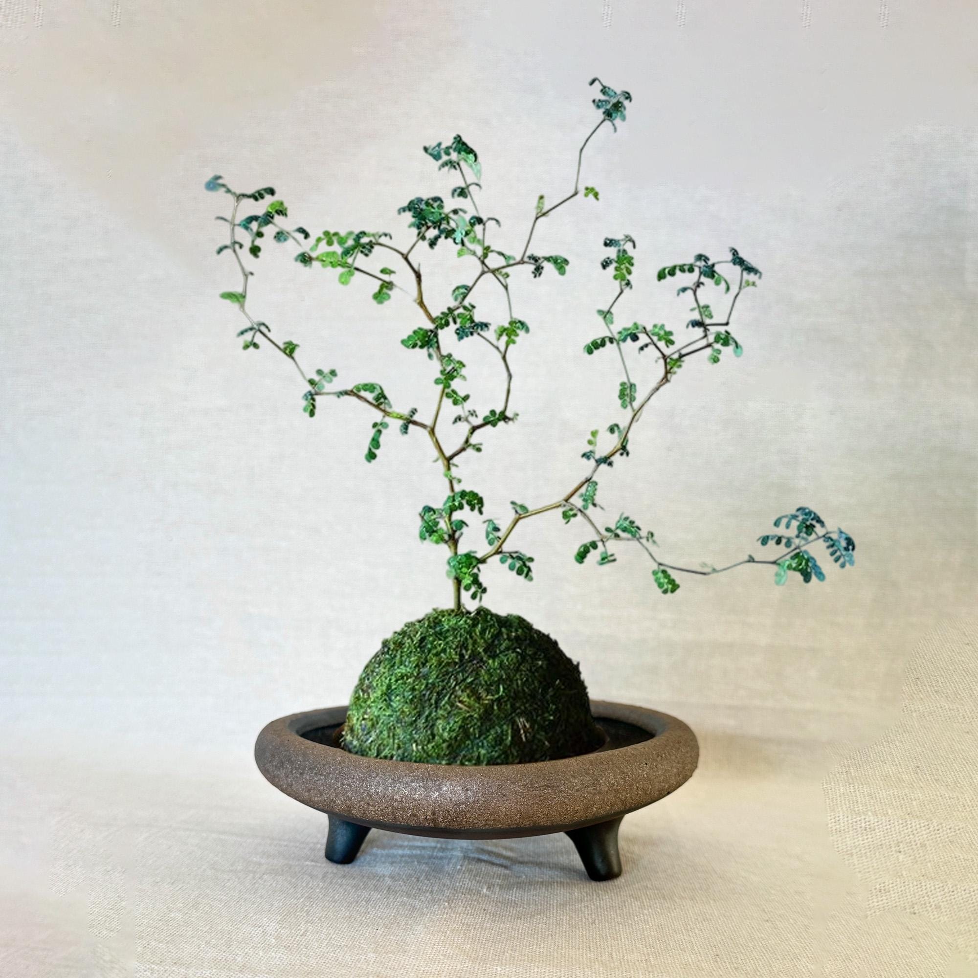 Handmade Stoneware Ikebana Bowl: Rustic Wabi-Sabi Floral Vessel