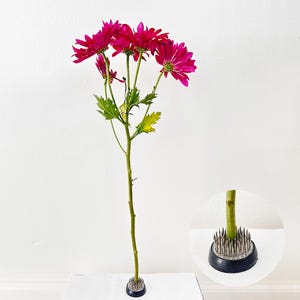 34 mm (1,34 &quot;) Durchmesser Hochleistungs-Blumenstecknadel Frösche Kenzan Messingstifte Bleibasis Blumenhalter Floral Arranger Japanische Ikebana Vasen